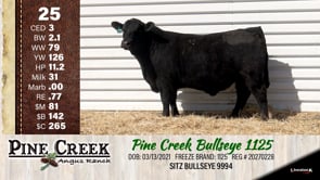 Lot #25 - 