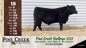 Lot #18 - 