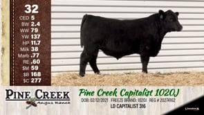 Lot #32 - 
