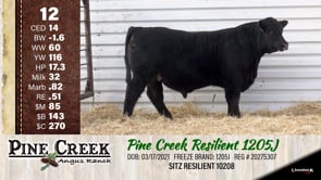 Lot #12 - 