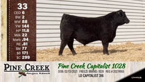 Lot #33 - 