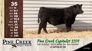 Lot #35 - 
