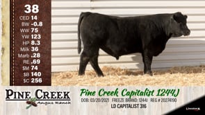 Lot #38 - 