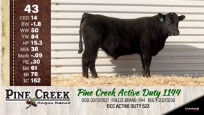 Lot #43 - 