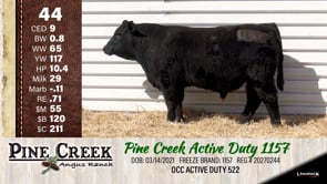 Lot #44 - 