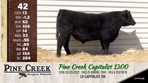 Lot #42 - 