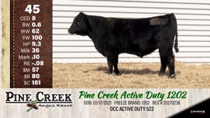 Lot #45 - 