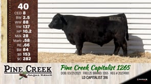 Lot #40 - 