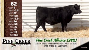 Lot #62 - 