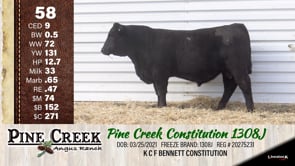 Lot #58 - 