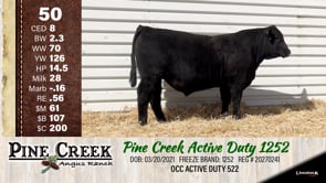 Lot #50 - 