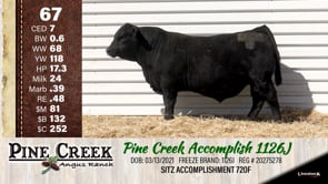 Lot #67 - 