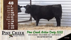 Lot #48 - 