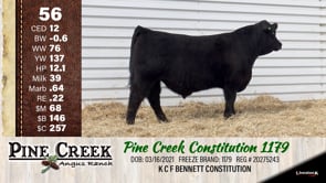 Lot #56 - 