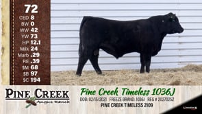 Lot #72 - 