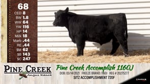 Lot #68 - 