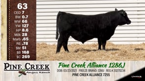Lot #63 - 