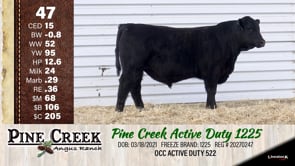 Lot #47 - 
