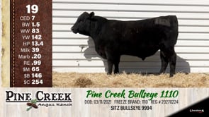 Lot #19 - 