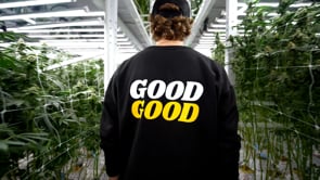Good Good Cannabis - Customer Success Story (Carrick McCallum - Technical Advisor)