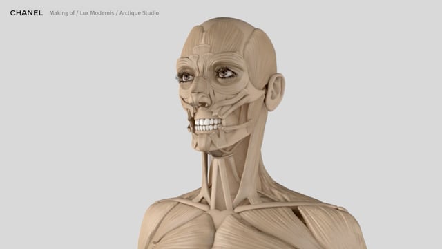 Animation 3D anatomie - Effets spéciaux