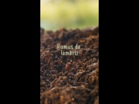 Pur Plant - Humus