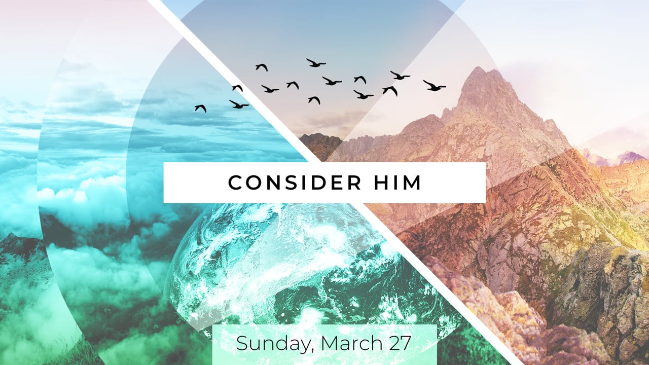 Sunday Morning, 'Consider His Miracles'