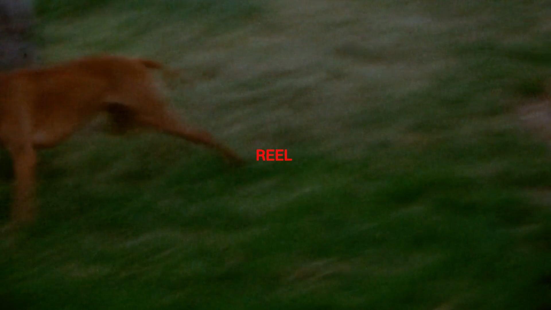 reel