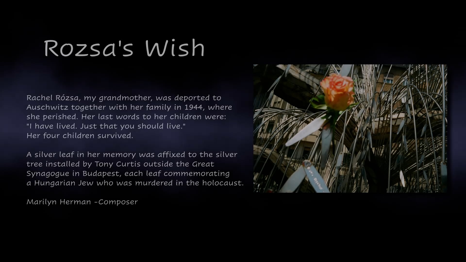 Rozsa's Wish-Master-v2