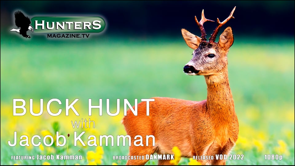 Roebuck Hunting with Jacob Kamman