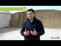 Fernando Garrachón, Crops Mánager de Lidea