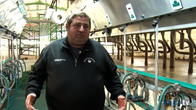 Muxir o doble de vacas no mesmo tempo