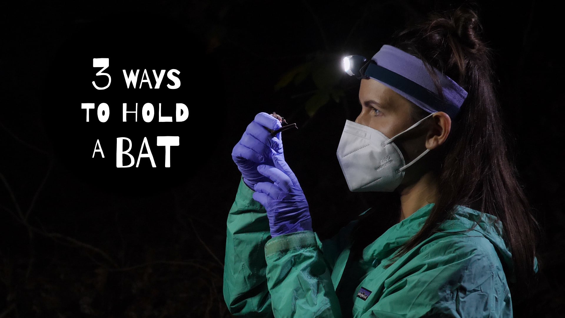 3 Ways to Hold a Bat on Vimeo