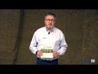 Variedades de maíz que aumentan la producción y resisten el estrés hídrico