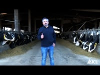Éxito en Galicia coa Solución Única de ICL no abonado de millo forraxeiro