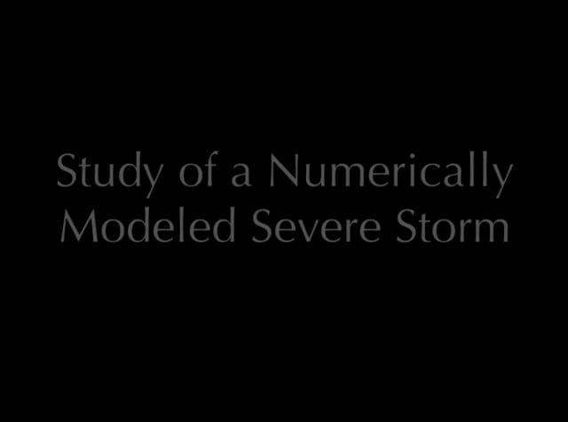 Colleen Bushell & NCSA : Study of a Numerically Modeled Severe Storm, 1989