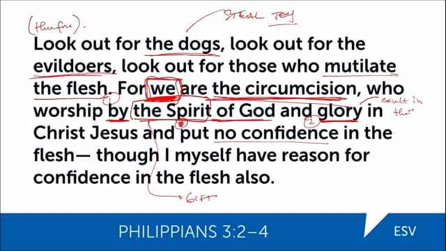Don't Let the Dogs Ravish Your Joy - Phil 3: 2-4