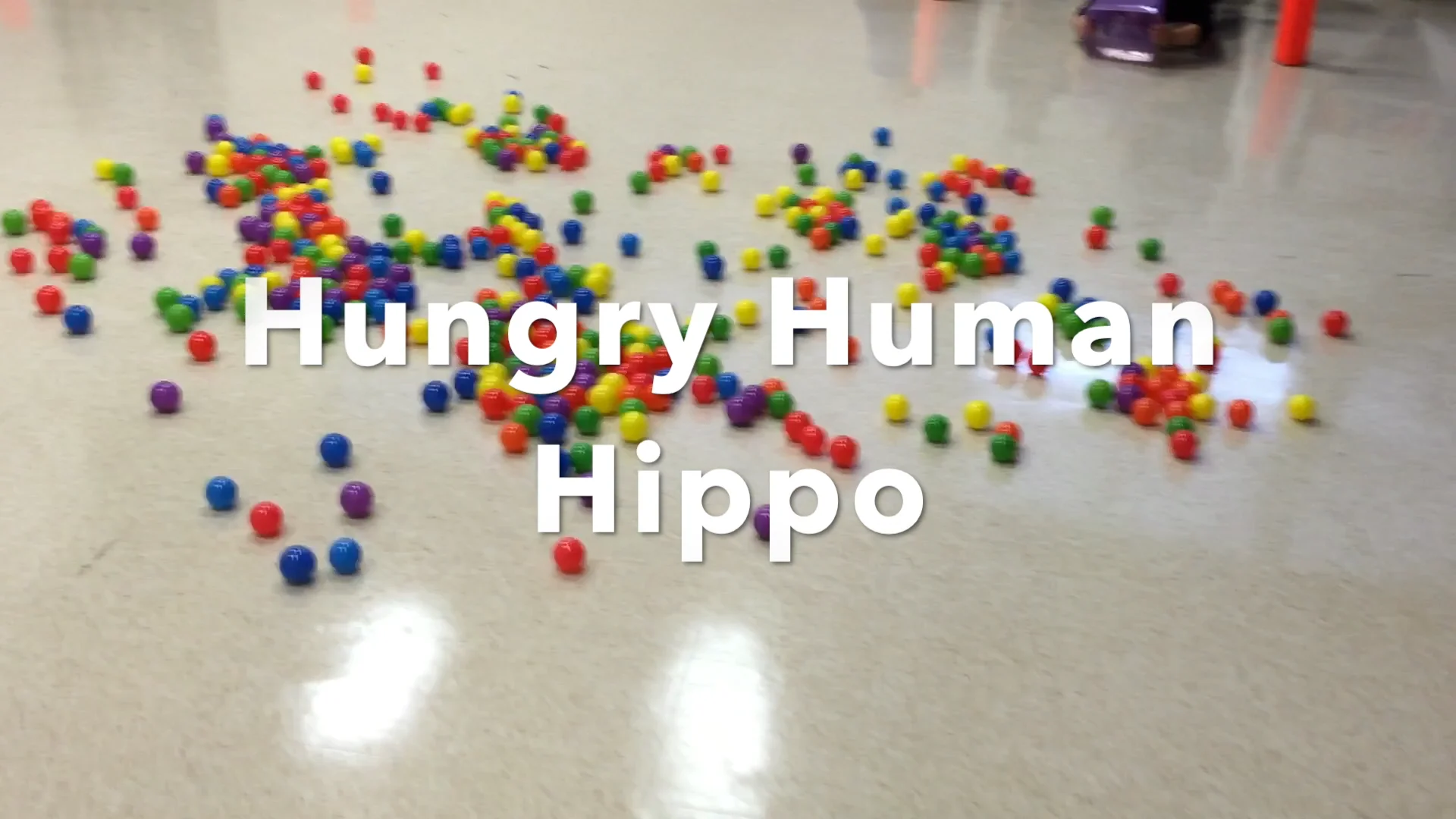 Hungry Human Hippo Promo 1.mp4