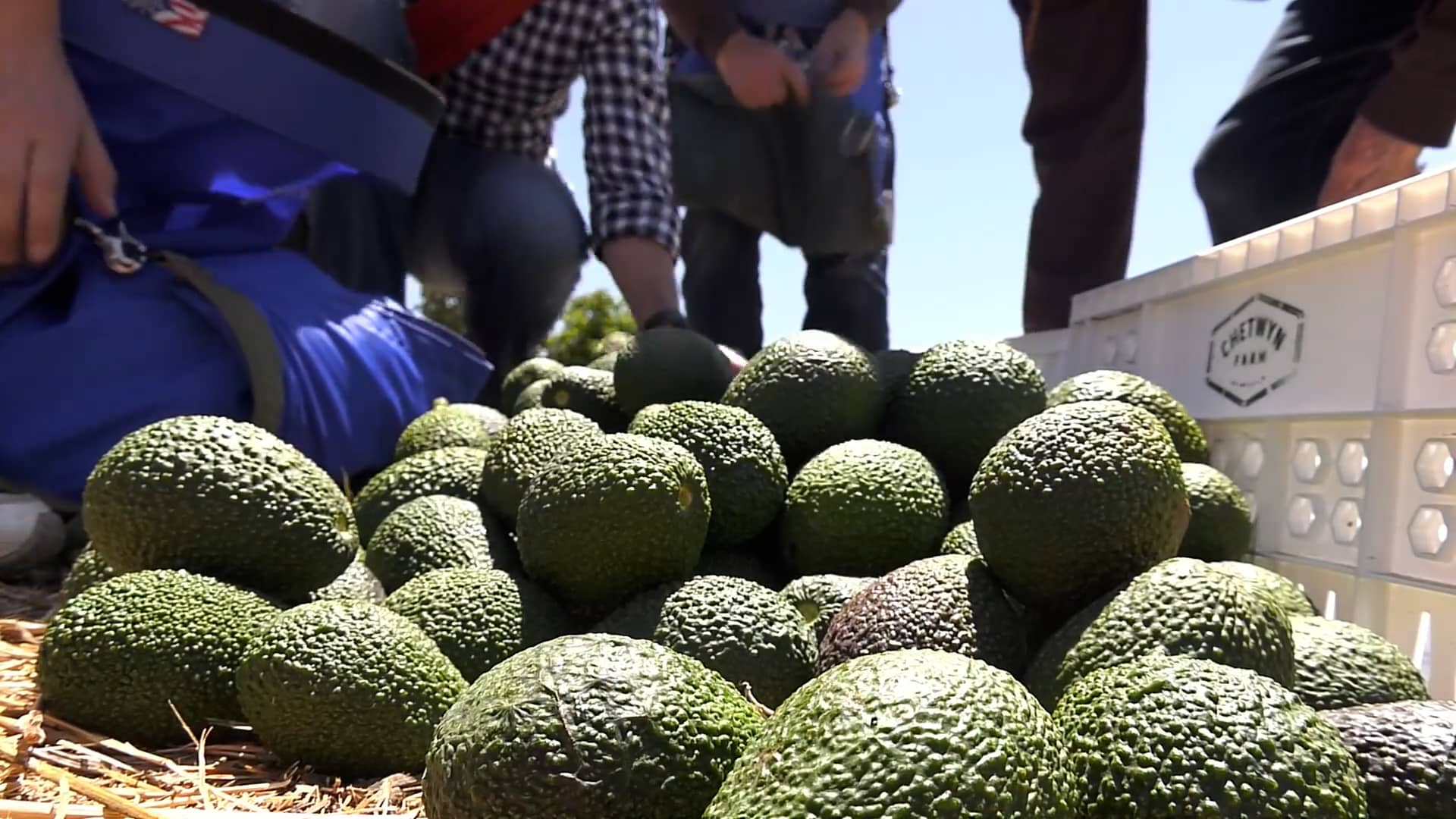 Chetwyn Farm on Vimeo