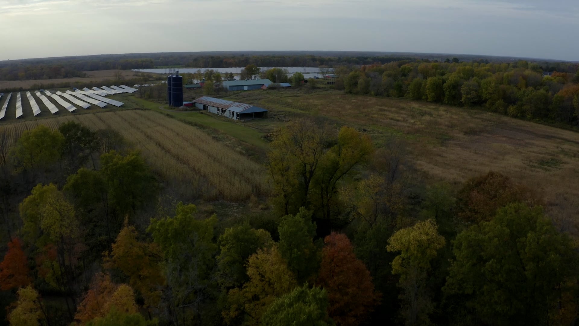 Fall Colors Drone