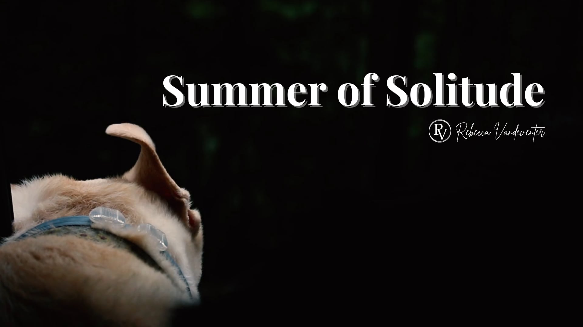 Summer of Solitude