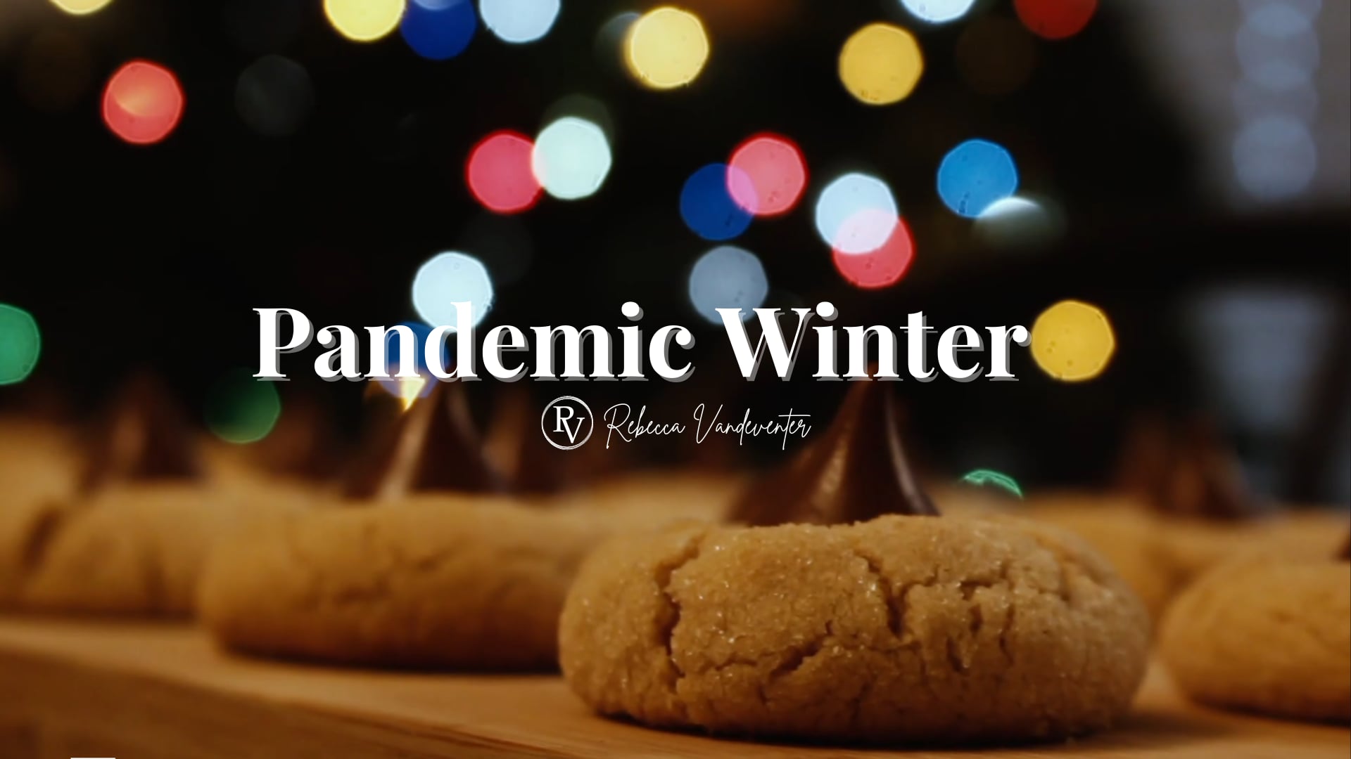 Pandemic Winter