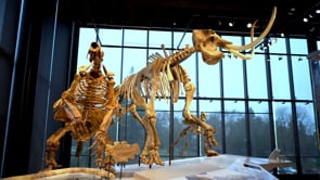 Smithsonian Exhibit Video