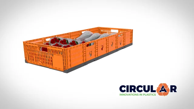 Fect box - Circular