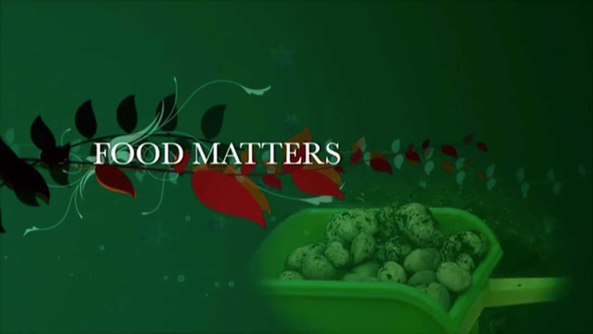 Food Matters: Episode 4 - #BreakTheBias