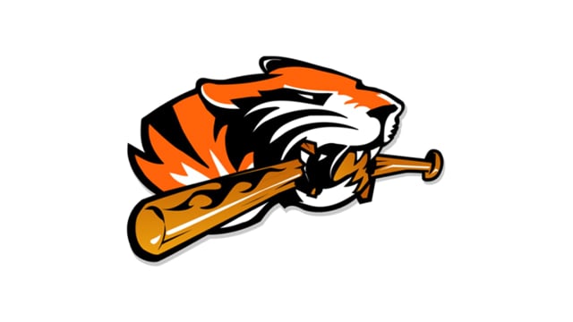 Tiger Baseball