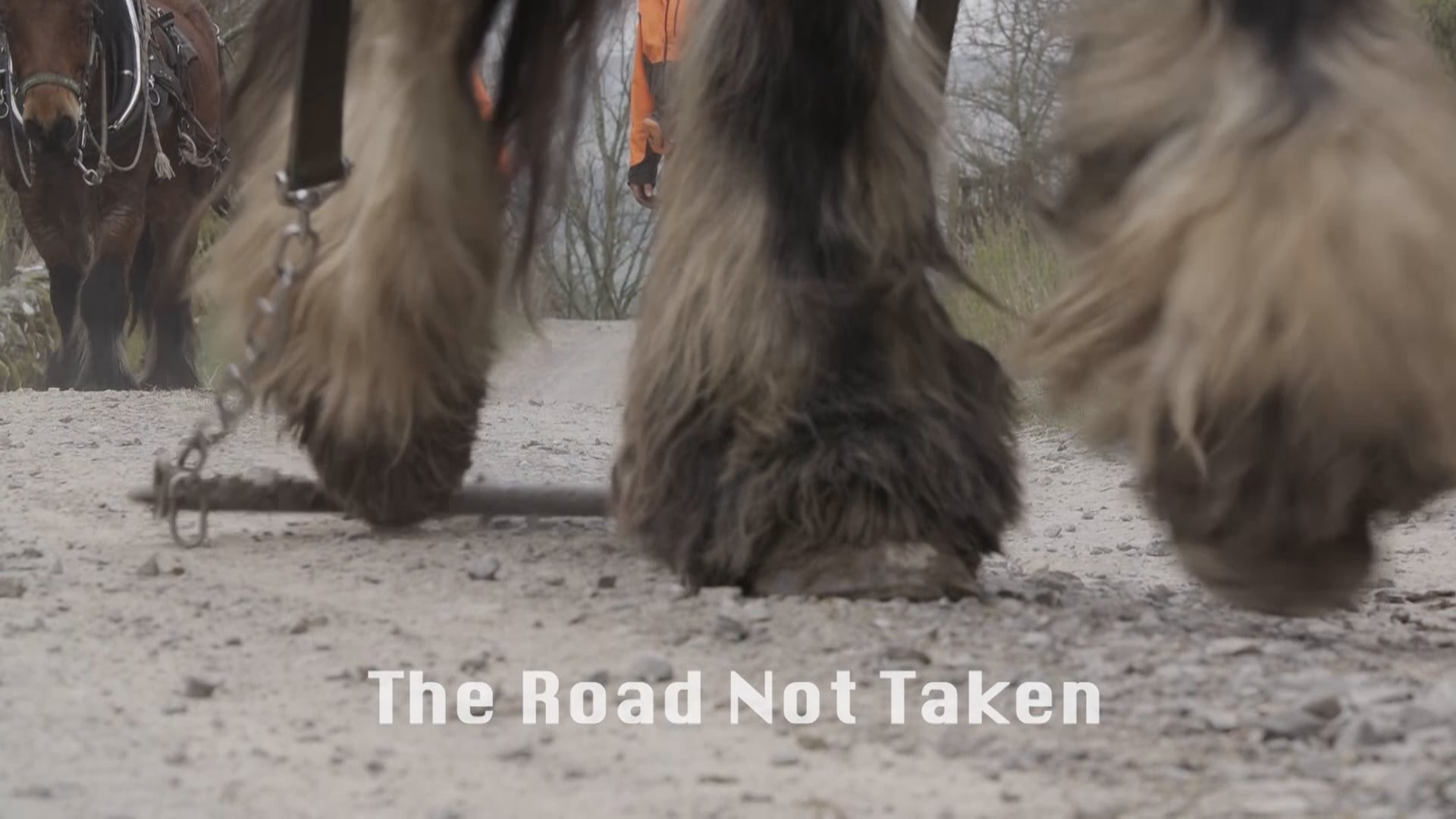 the road not taken - trailer one