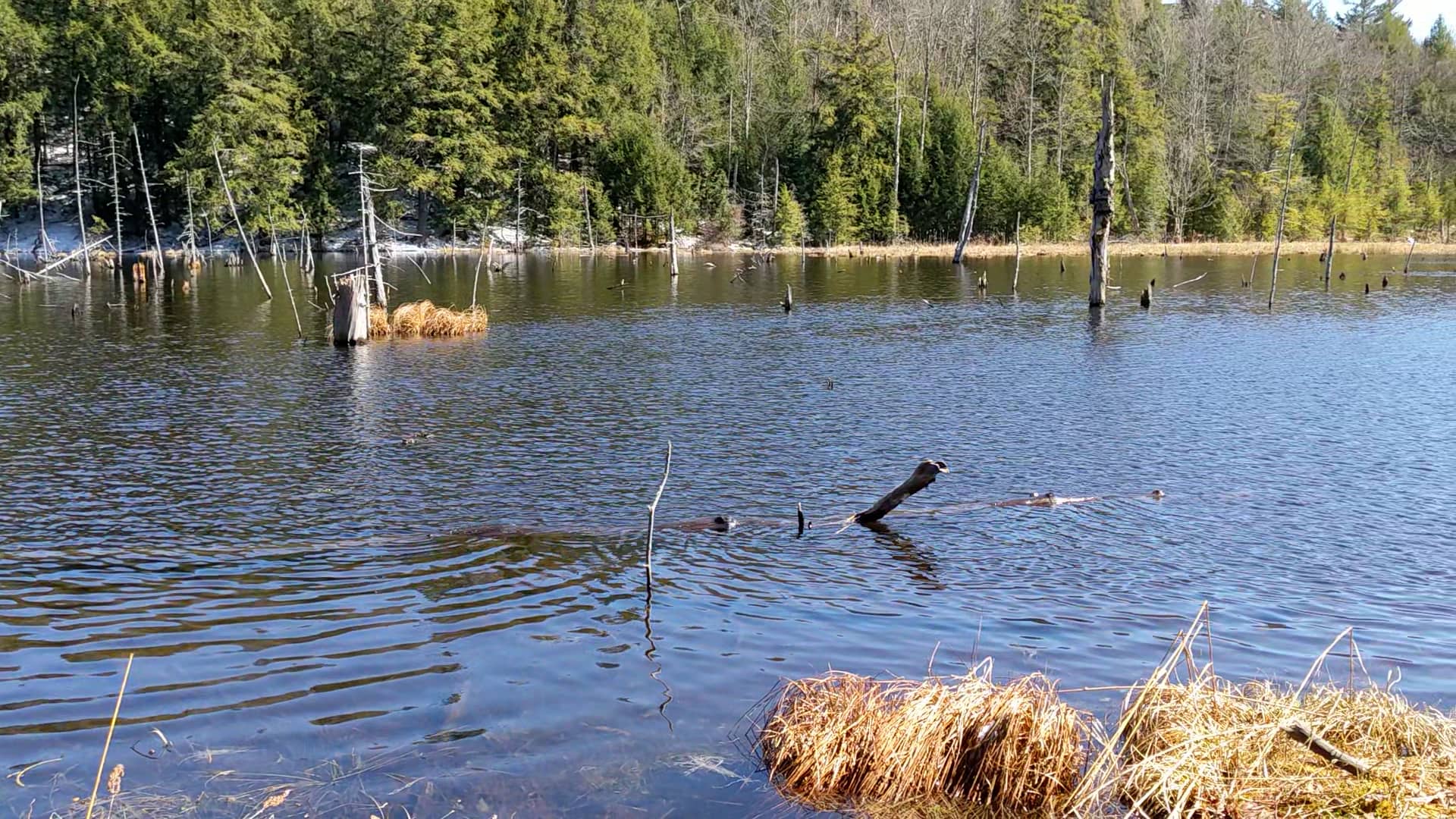 BakersfieldLake on Vimeo