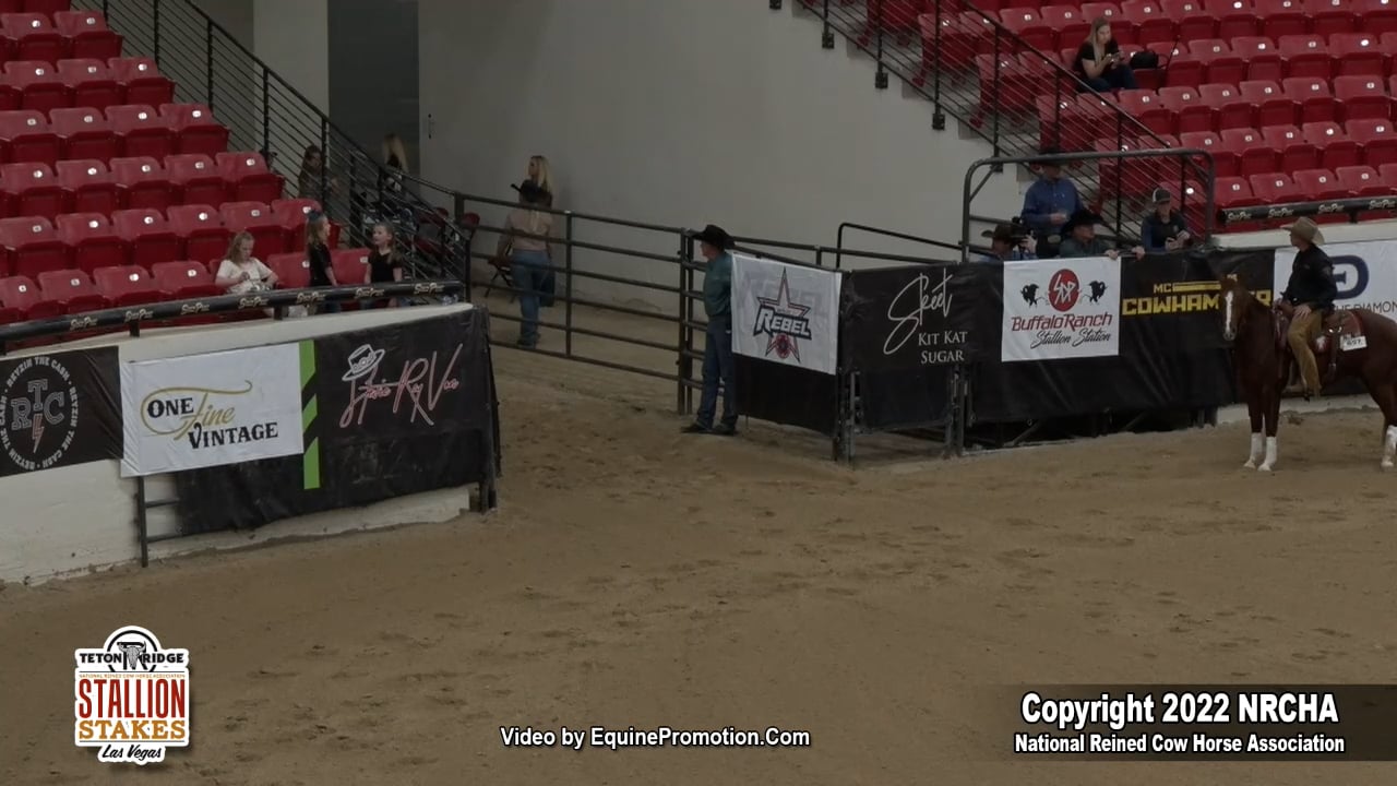 WR ICEMAN shown by COREY D. CUSHING 2022 NRCHA Stallion Stakes (FINALS Open Derby, on Vimeo