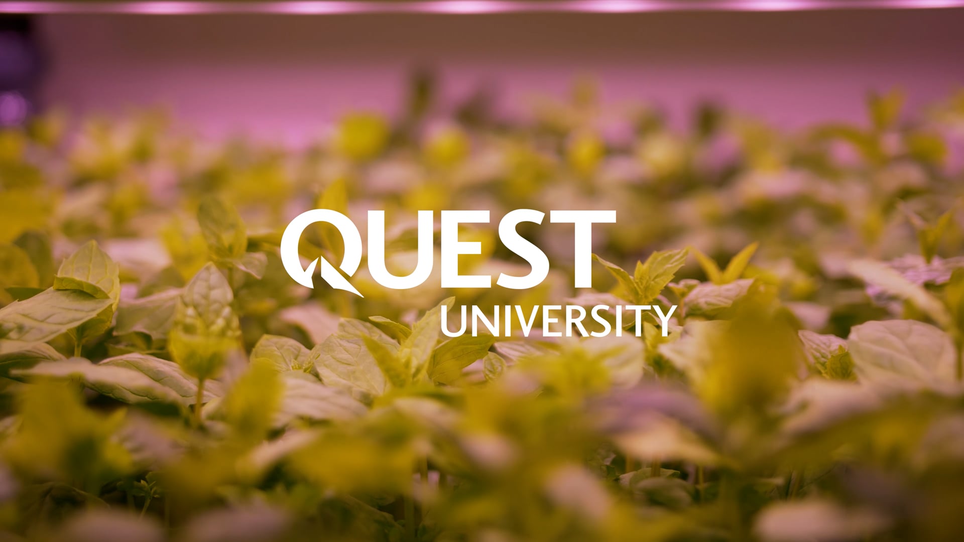 Quest University X Infarm | Hayley Birss